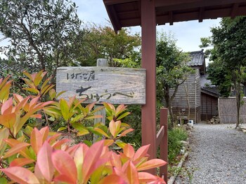 hatagoyachuube