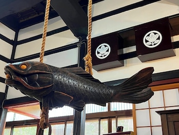 hatagoyachuube