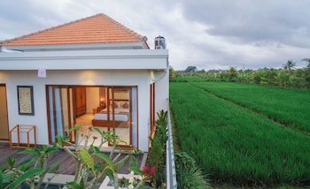 villa vasista