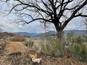 jukrokjungsa hanokstay