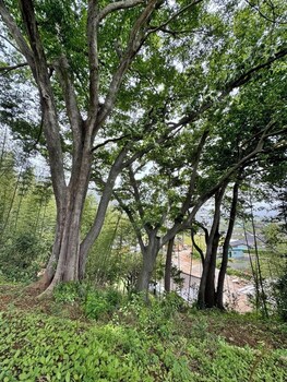 jukrokjungsa hanokstay