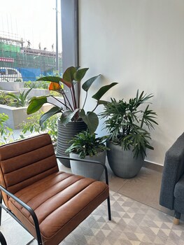 Easy Stay At Loxwood Apartment,,4 star