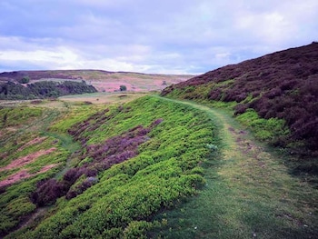 sea view cottage near snowdon and coastal trails
