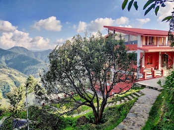 the shilaroo project