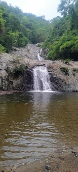 las cascadas hostel tayrona