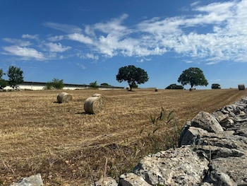 giardino dei trulli tenute