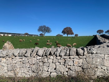 giardino dei trulli tenute
