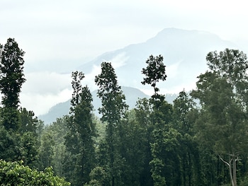 ekantam resort