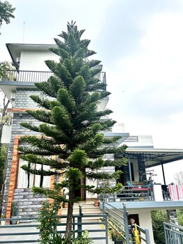 ekantam resort
