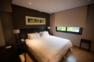 grand crucero express posadas