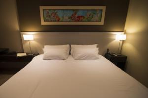 grand crucero express posadas