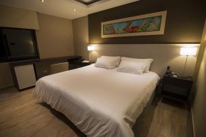 grand crucero express posadas