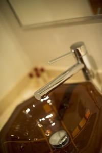 grand crucero express posadas