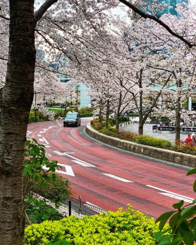 illi rug hamamatsucho