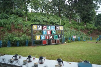 amchong park and resorts