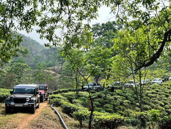 amchong park and resorts