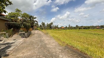 dlobong private pool villa ubud