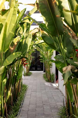 an retreats ninh binh