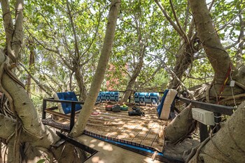 cosmicstays joshet farmstay