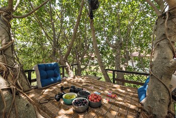 cosmicstays joshet farmstay