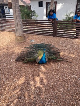 the big blue resort and spa