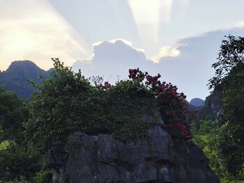 heritage haven