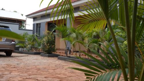 kamfart safari lodge