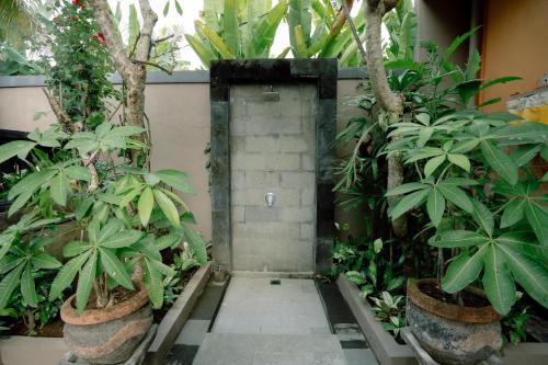 ubud