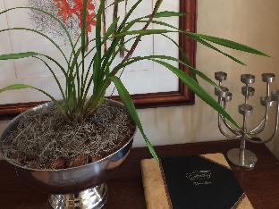 the estuary hotel and spa