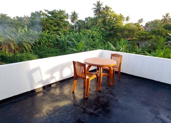 tropical suites