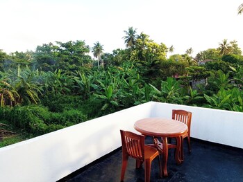tropical suites