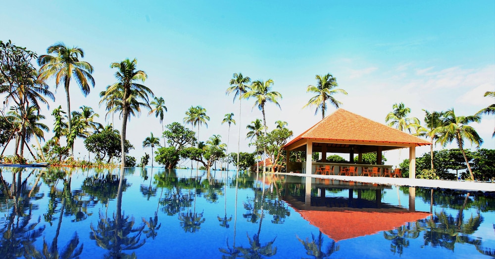 hikka tranz by cinnamon