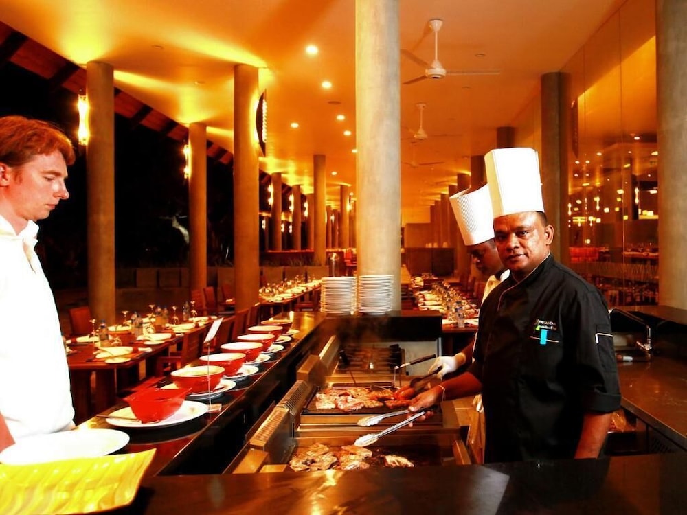 hikka tranz by cinnamon