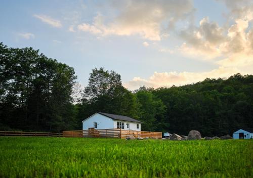 saddleview bed and breakfast