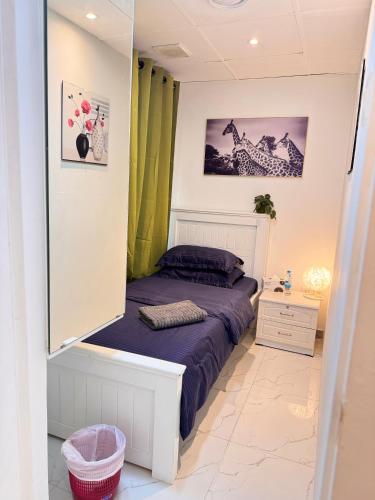 dsv property