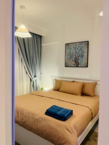 dsv property