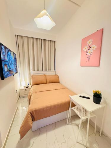 dsv property