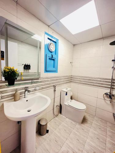 dsv property