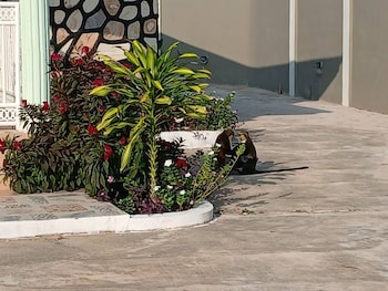 madora lodge