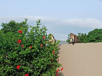 madora lodge