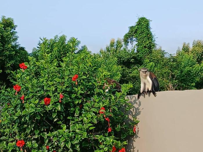 madora lodge