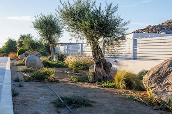 calmare collection hotel