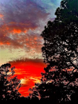 texarkana