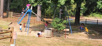 texarkana koa