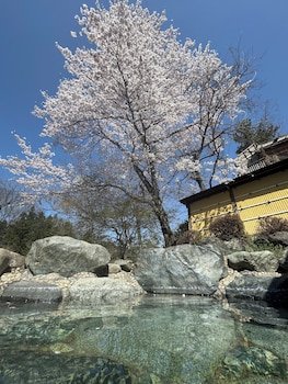 sasanoyu
