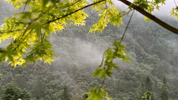 zhangjiajie