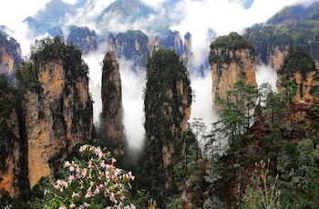 zhangjiajie valley love holiday hotel