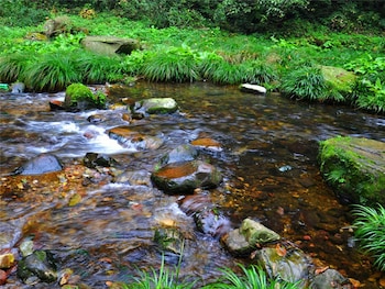 zhangjiajie valley love holiday hotel