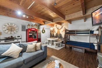 honey bear den