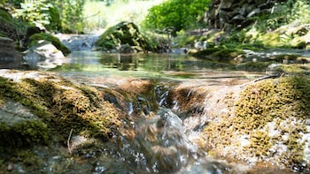 chuncheon haven forest pension